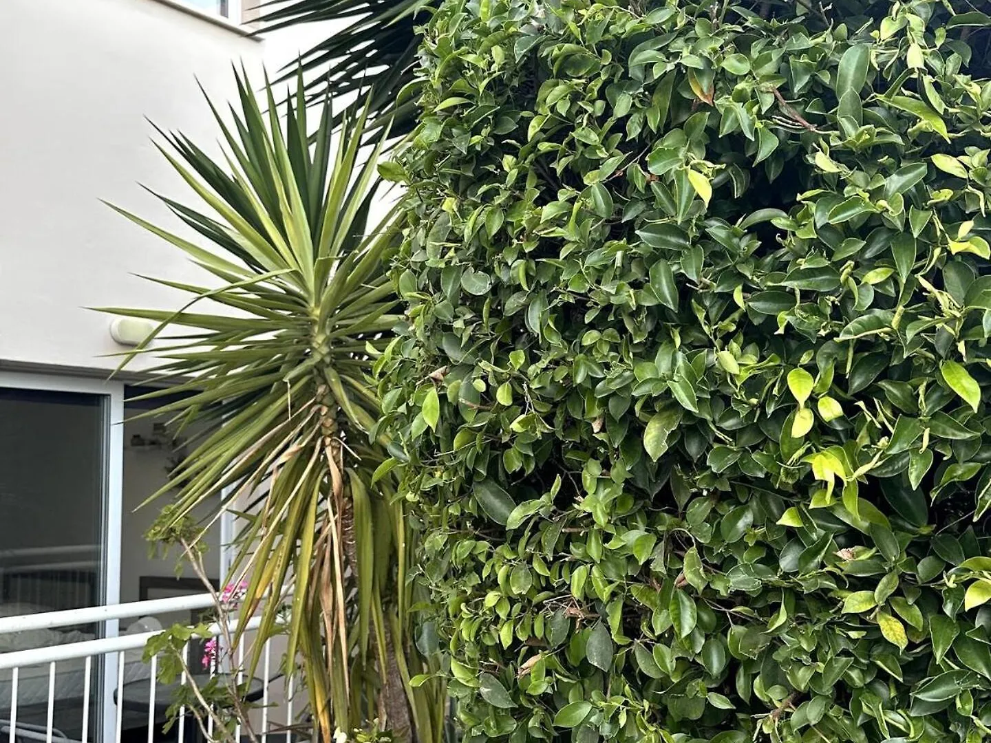 Olymbos Garden Apartment IV Ajia Napa